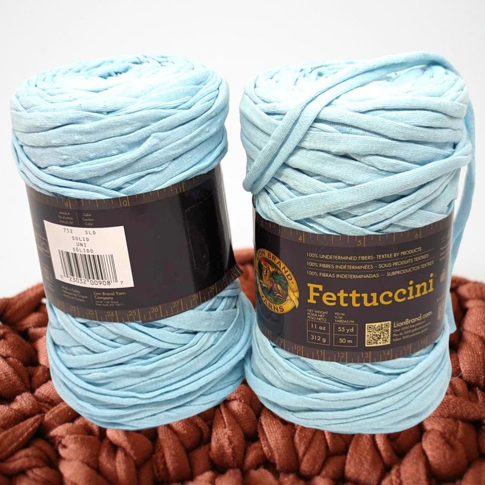 Lion Brand Fettuccini Yarn Bundle of 2 Light Blue 23oz Lot #65